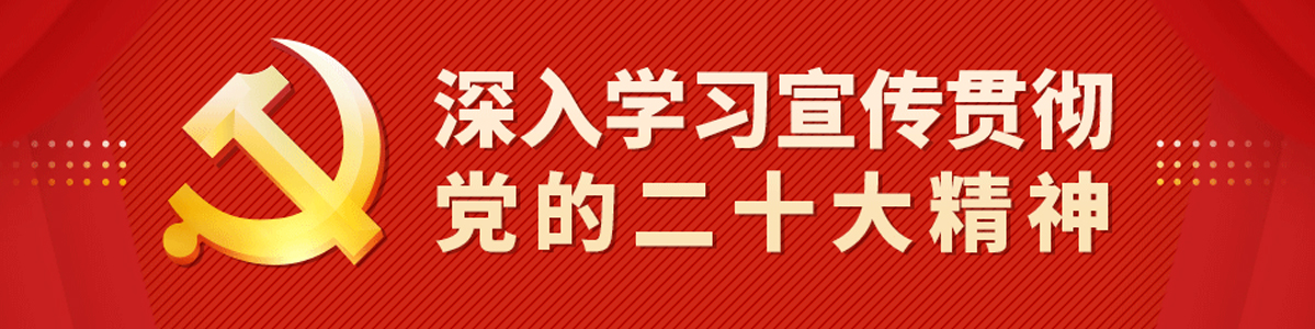 深入学习宣传贯彻党的二十大精神