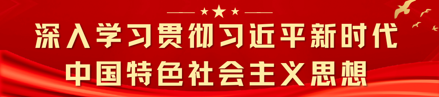 深入学习宣传贯彻党的二十大精神